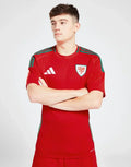 Thuistrui Wales 2024